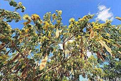 万代宣布《灵魂能力6》销量突破200万 将再次举办“线上挑战赛”