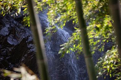 《王者荣耀》三款电玩皮肤曝光 蔡文姬骑游戏手柄