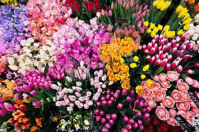 《德州电锯杀人狂》未来三个月内提供大量内容更新